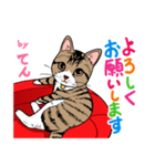 2020 1223 猫のてん（個別スタンプ：4）