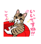 2020 1223 猫のてん（個別スタンプ：5）