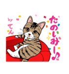 2020 1223 猫のてん（個別スタンプ：6）