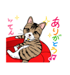 2020 1223 猫のてん（個別スタンプ：7）