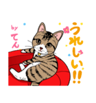 2020 1223 猫のてん（個別スタンプ：8）