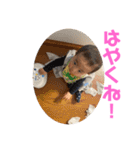 happy0715（個別スタンプ：19）