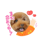 クー太からあけおめ（個別スタンプ：2）