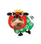 クー太からあけおめ（個別スタンプ：4）
