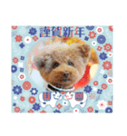 クー太からあけおめ（個別スタンプ：7）