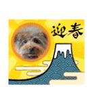 クー太からあけおめ（個別スタンプ：8）