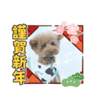 クー太からあけおめ（個別スタンプ：9）