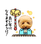 クー太からあけおめ（個別スタンプ：13）