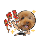 クー太からあけおめ（個別スタンプ：16）
