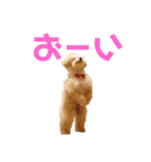 エルク(410)（個別スタンプ：1）