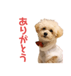 エルク(410)（個別スタンプ：3）