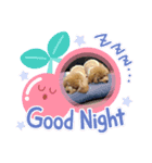 りり、ここ(412)（個別スタンプ：4）