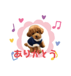 りり、ここ(412)（個別スタンプ：6）