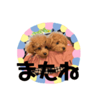 りり、ここ(412)（個別スタンプ：7）