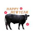 丑年・可愛い牛から年末年始のご挨拶♪2021（個別スタンプ：5）