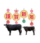 丑年・可愛い牛から年末年始のご挨拶♪2021（個別スタンプ：7）