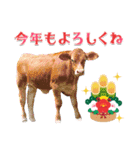 丑年・可愛い牛から年末年始のご挨拶♪2021（個別スタンプ：10）