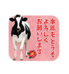 丑年・可愛い牛から年末年始のご挨拶♪2021（個別スタンプ：11）