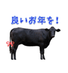 丑年・可愛い牛から年末年始のご挨拶♪2021（個別スタンプ：18）