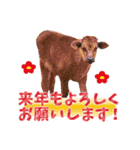 丑年・可愛い牛から年末年始のご挨拶♪2021（個別スタンプ：19）