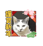 k.nオリジナル3（個別スタンプ：3）