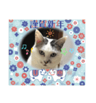 k.nオリジナル3（個別スタンプ：4）