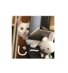 おもちゃんの日常スタンプ（個別スタンプ：14）