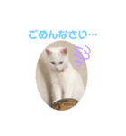 おもちゃんの日常スタンプ（個別スタンプ：24）