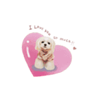 チワマル♡ジュエラの日常スタンプ（個別スタンプ：10）