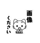 Funny cat Sticker 1（個別スタンプ：39）