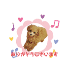 シェリ(330)（個別スタンプ：5）