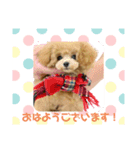 シェリ(330)（個別スタンプ：8）