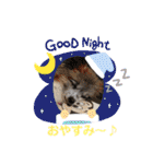 パピヨンのアリス♪（個別スタンプ：6）