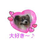 パピヨンのアリス♪（個別スタンプ：20）