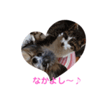 パピヨンのアリス♪（個別スタンプ：27）