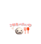 ニートちゃん使いやすい基本スタンプ（個別スタンプ：21）