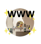 お正月インコ。ぽぽたろう。（個別スタンプ：1）