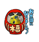 お正月インコ。ぽぽたろう。（個別スタンプ：8）