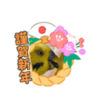 お正月インコ。ぽぽたろう。（個別スタンプ：9）