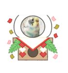 お正月インコ。ぽぽたろう。（個別スタンプ：16）