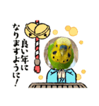 お正月インコ。ぽぽたろう。（個別スタンプ：17）