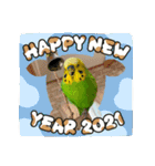 お正月インコ。ぽぽたろう。（個別スタンプ：18）