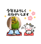 お正月インコ。ぽぽたろう。（個別スタンプ：19）
