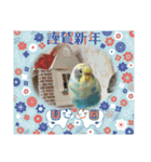 お正月インコ。ぽぽたろう。（個別スタンプ：21）