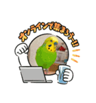 お正月インコ。ぽぽたろう。（個別スタンプ：24）