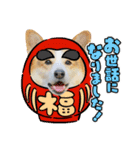 コーギーのプーさん-お正月-（個別スタンプ：2）