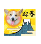 コーギーのプーさん-お正月-（個別スタンプ：14）