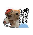 れおさんスタンプ⑥（個別スタンプ：1）