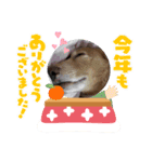 れおさんスタンプ⑥（個別スタンプ：2）