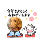 れおさんスタンプ⑥（個別スタンプ：5）